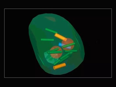 Urologija
